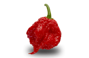 Reaper Pepper - Firecracker Farm Image